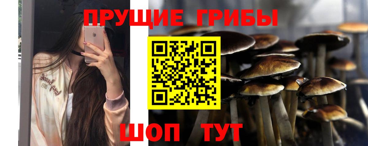 Псилоцибиновые грибы Psilocybe  Вход с VPN  наркотики  Строитель 